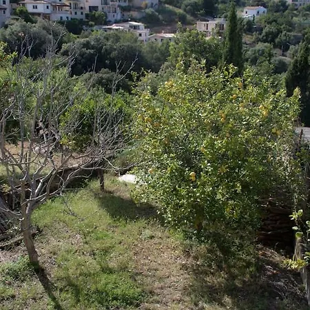 Ca Na Mora * Campanet